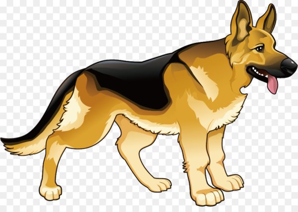 Служебная собака на белом фоне