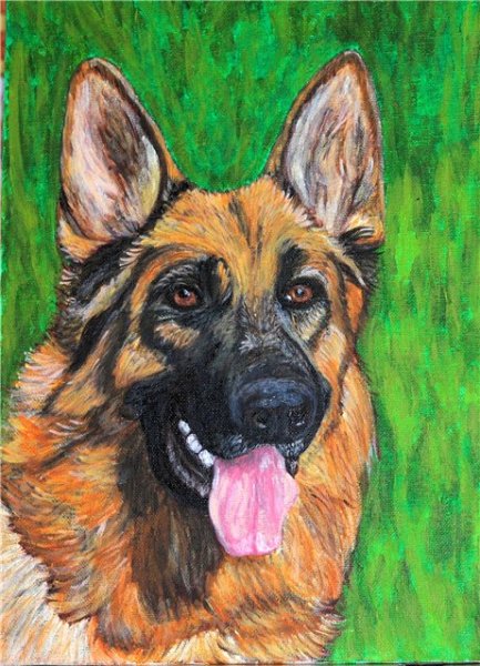 Живопись морда овчарки