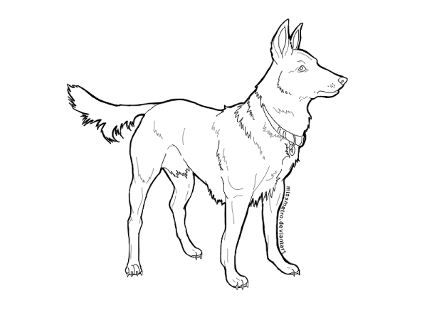 Овчарка раскраска для детей