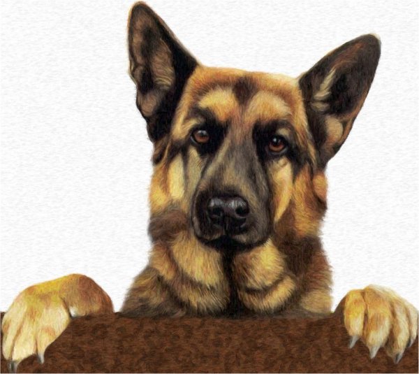 ВЕО акварелью