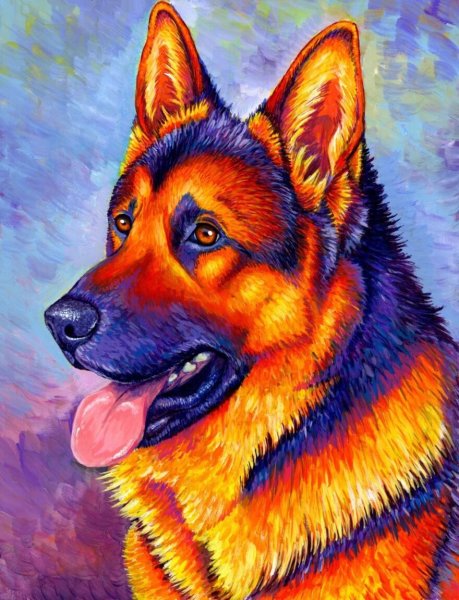 Раскраска немецкая овчарка