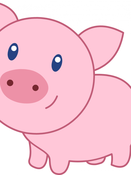 Морда поросенка