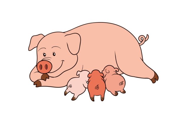 Свинья раскраска для детей