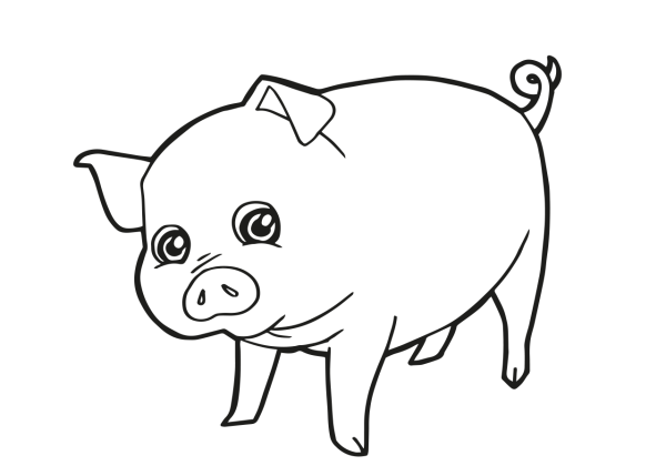 Свинья для раскрашивания детям