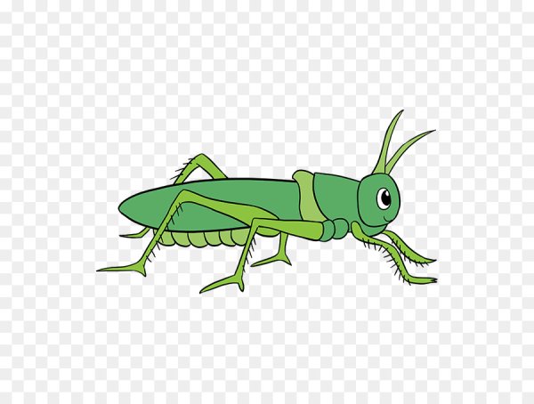 Веселый кузнечик