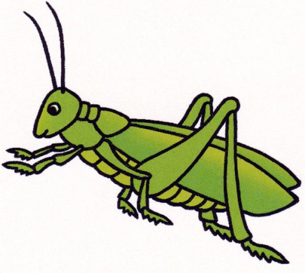 Кузнечик раскраска
