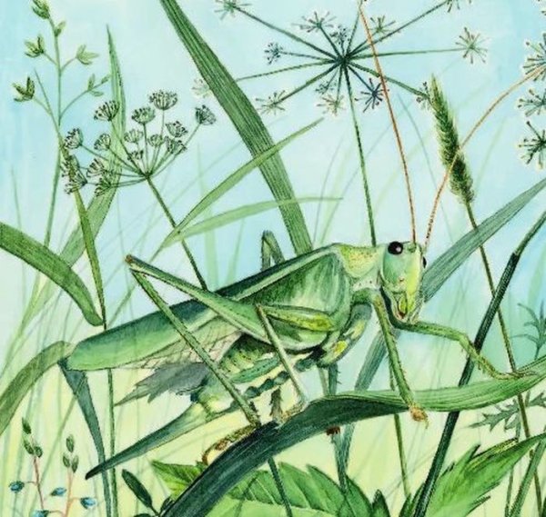 Кузнечик для детей