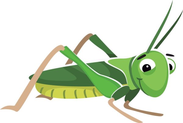 Кузнечик рисунок для детей