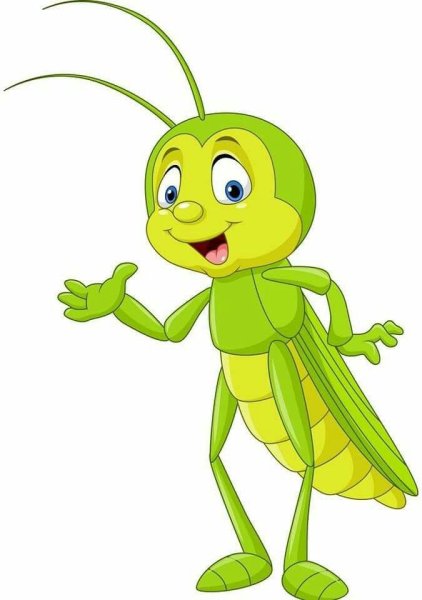 Насекомые. Раскраска