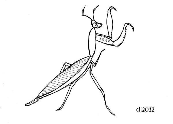 Богомол для рисования