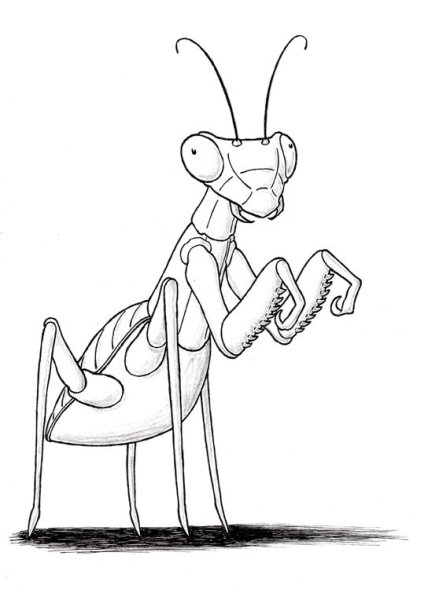 Богомол раскраска