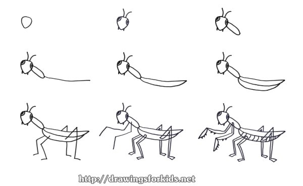 Трафарет богомола