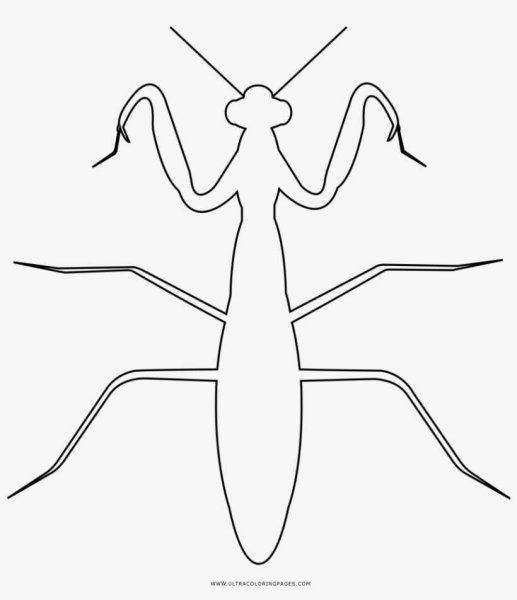 Богомол символ