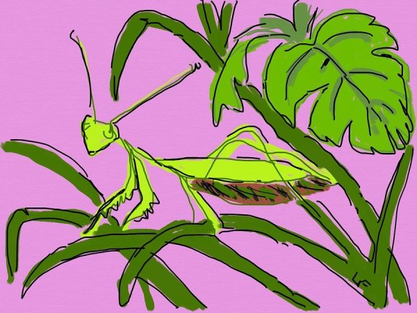 Богомол эскиз