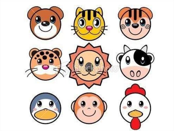 Морды животных в круге