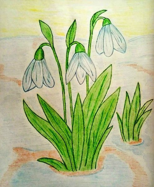 Рисование весенних цветов