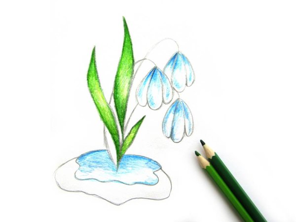 Подснежник рисунок