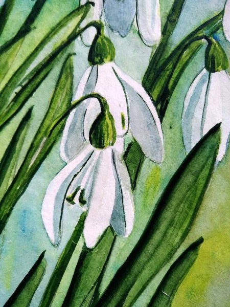 Рисование подснежники