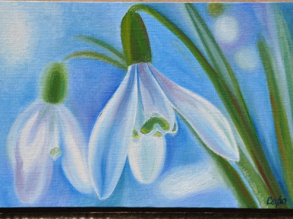 Подснежники гуашью