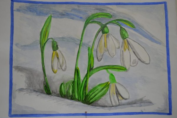 Первоцветы рисунки