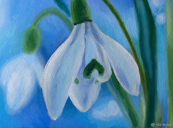 Рисование подснежники