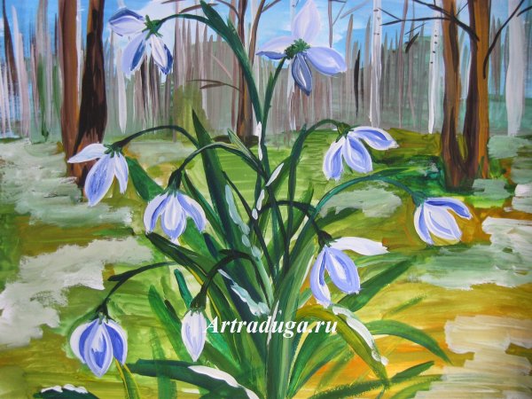 Подснежник рисунок