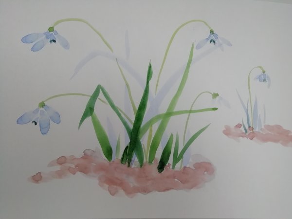 Рисование с детьми подснежники