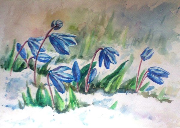 Пролеска-Сцилла живопись