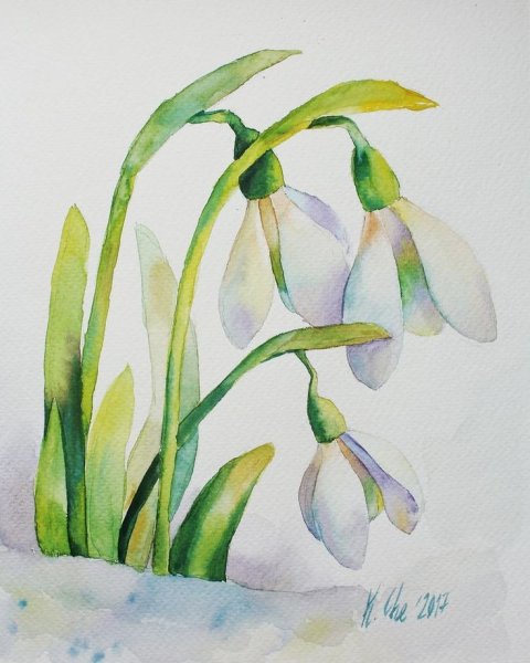 Анастасия Беседина акварель подснежники