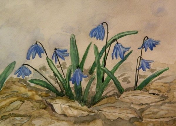 Пролеска-Сцилла живопись