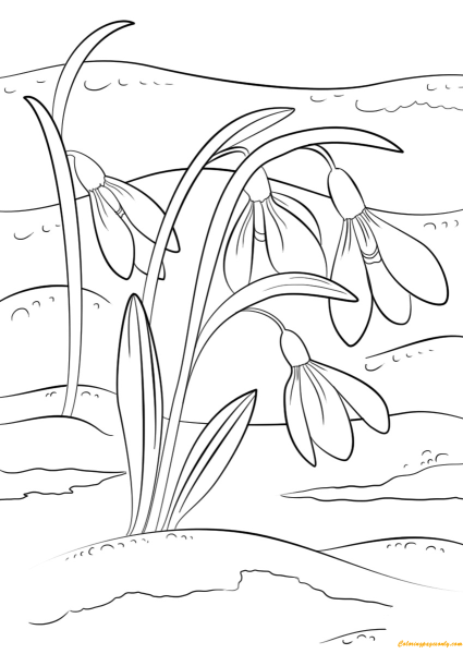 Раскраска. Весна