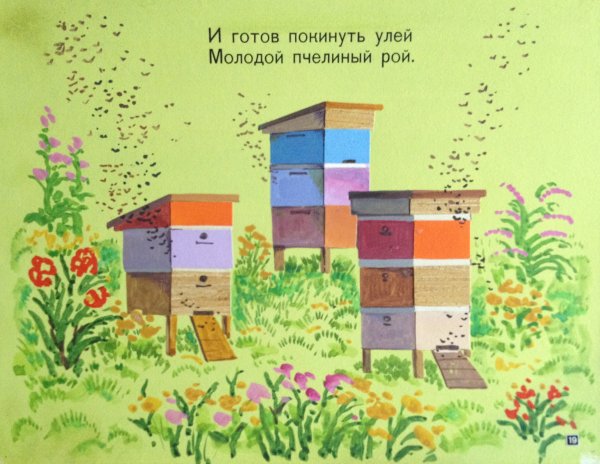 Рисунки пасеки и ульев