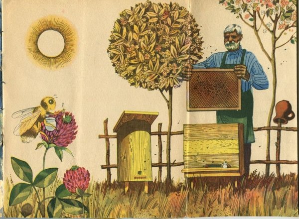 Некрасов пчелы