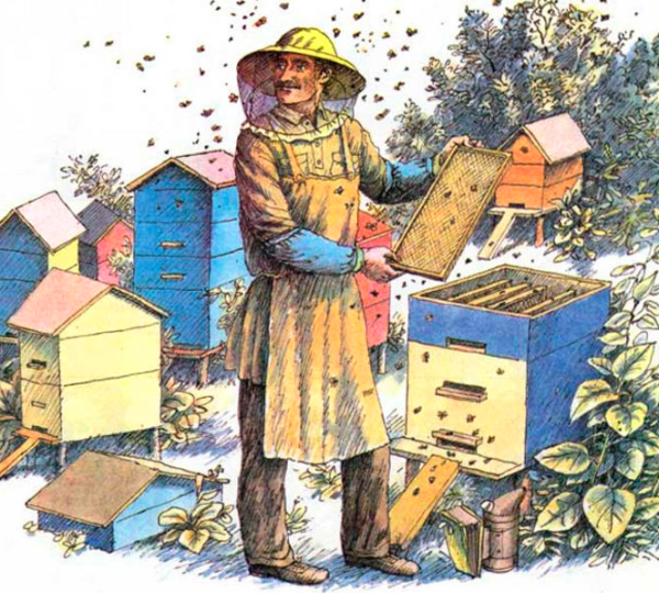 Пчеловод для детей