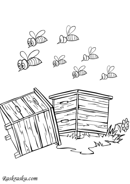 Улей раскраска