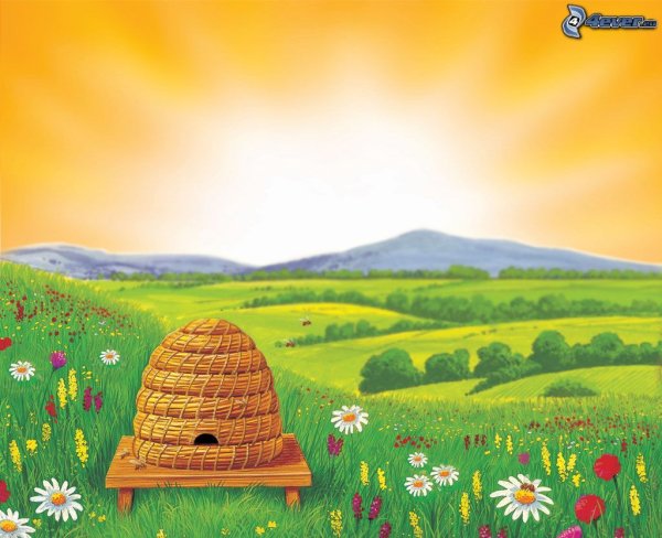 Пасека на белом фоне