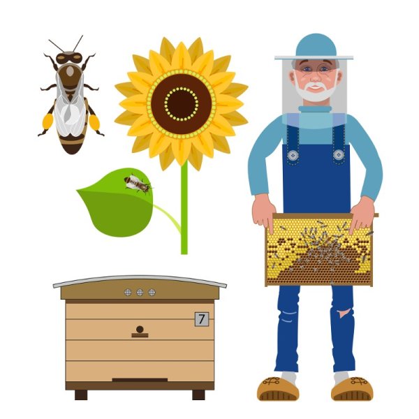 Пчеловод картинки