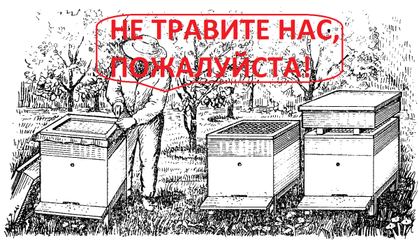 Улей раскраска