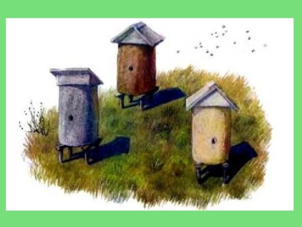 К Д Ушинский пчелки на разведках