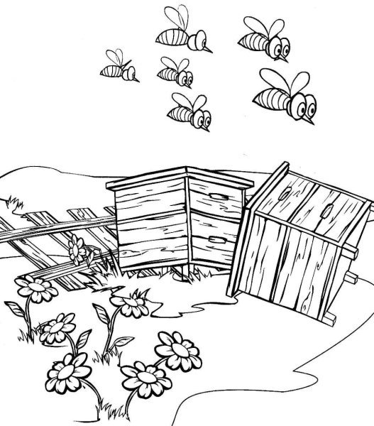 Раскраска улей для пчёл для детей