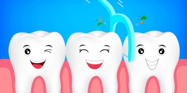 Иллюстрации зубов