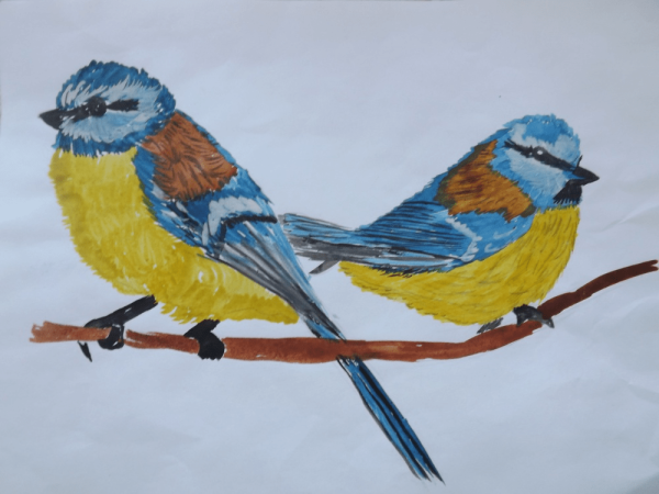 Рисование синички