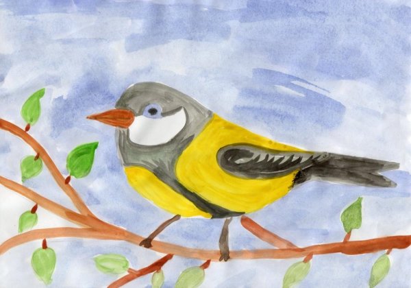 Синица рисунок