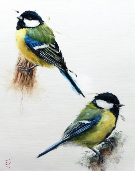 Рисуем синичку с детьми