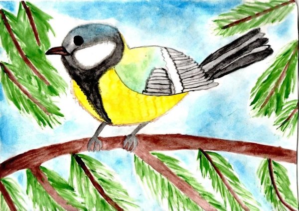 Рисование синицы