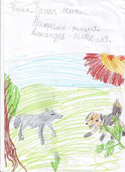 Рисунок Чинка из рассказа Чинк Эрнест Сетон-Томпсон