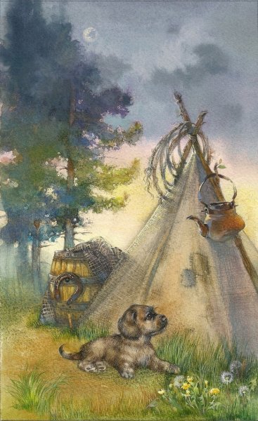 Чинк Сетон-Томпсон