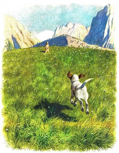 Эрнест Сетон-Томпсон Чинк