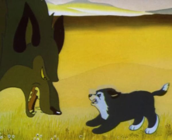 Чинк Сетон-Томпсон