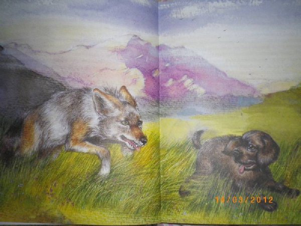 Эрнест Сетон-Томпсон Чинк